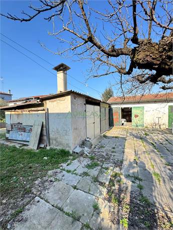 Photo 48