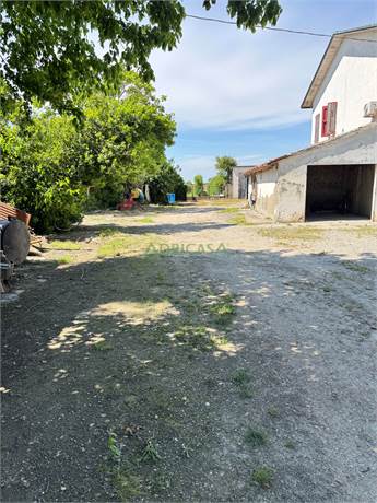 Photo 35