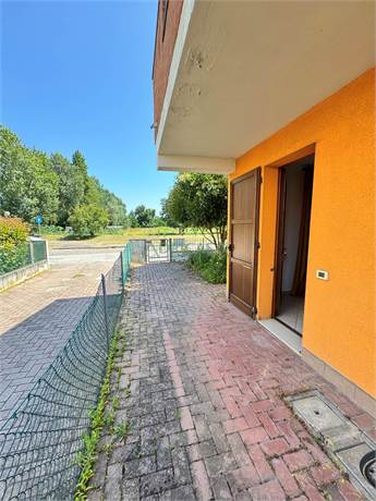 Photo 34