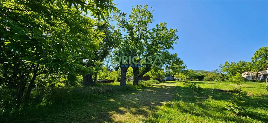Photo 35