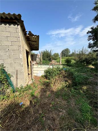 Photo 24