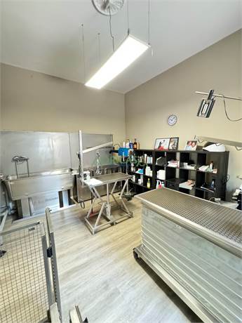 Photo 42
