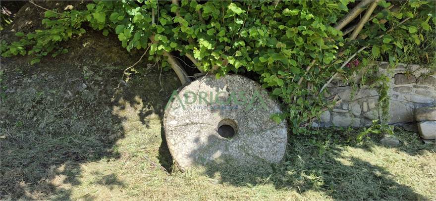 Photo 37