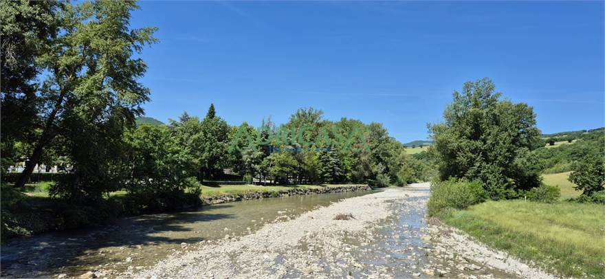 Photo 48