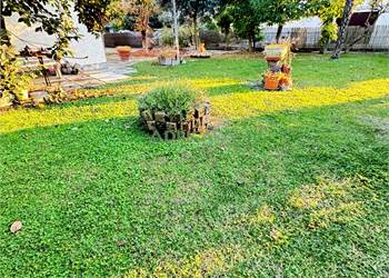 Villa indipendente con parco ad Alfonsine