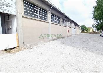 Capannone in affitto a Forlì