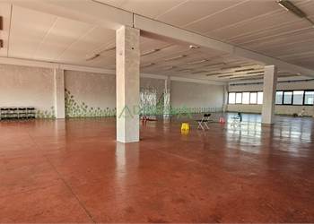 Prestigioso Capannone Commerciale a Cesena