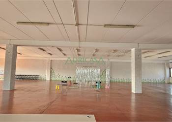 Porzione di capannone con ingresso autonomo a Cesena