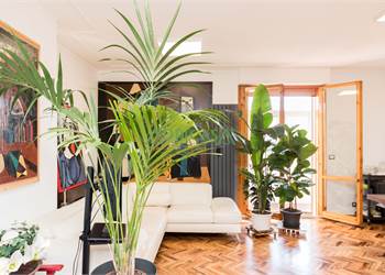 Appartamento completamente ristrutturato in zona Parco Urbano